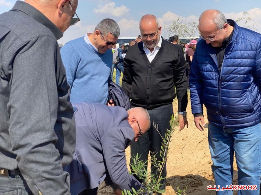  فعاليات مهرجان 